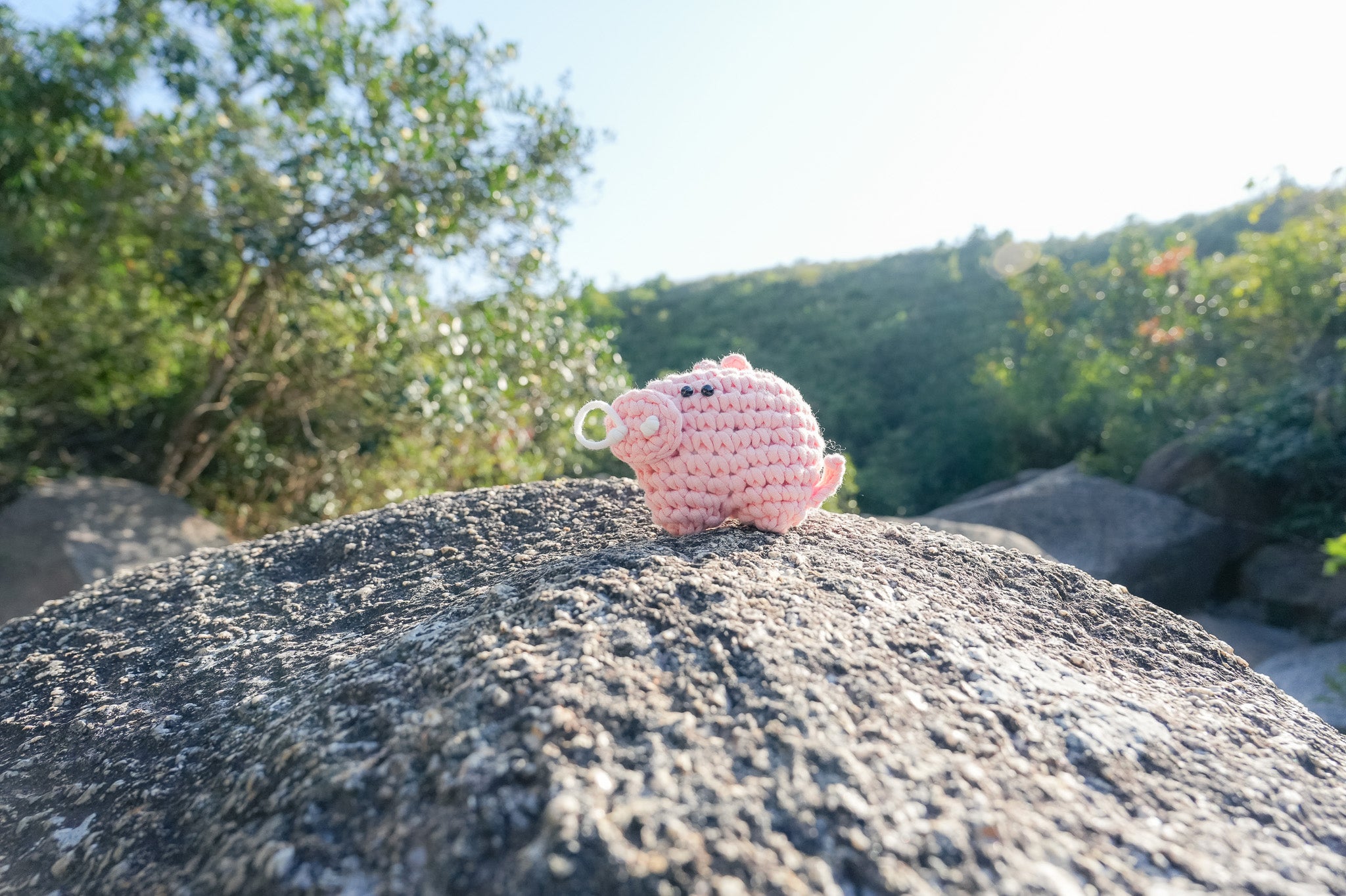 小動物系列｜《泡泡豬》新手鈎針材料包｜二星難度｜廣東話原創教程