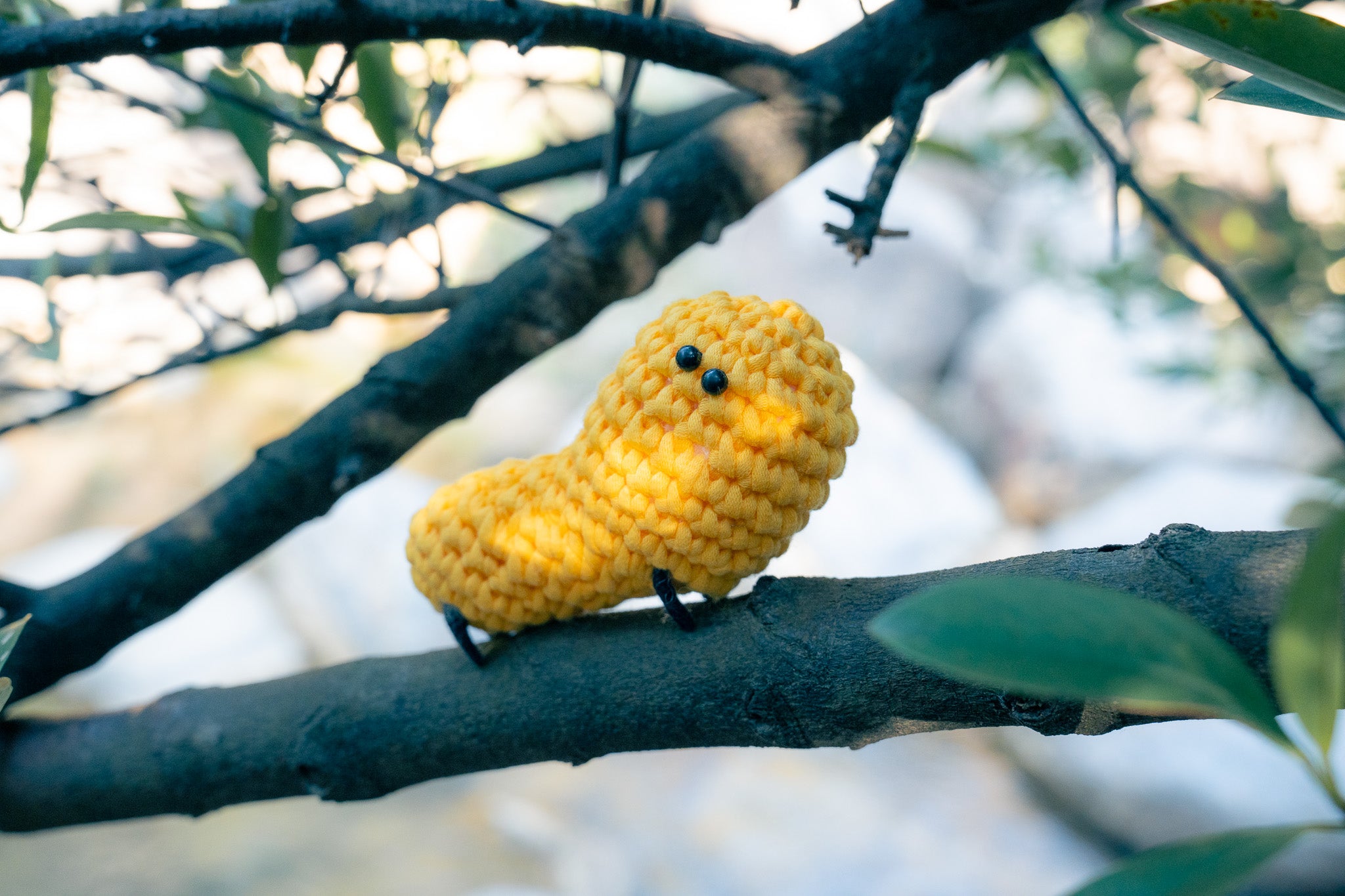 小怪物系列｜《檸檬仔》新手鈎針材料包｜一星難度｜廣東話原創教程